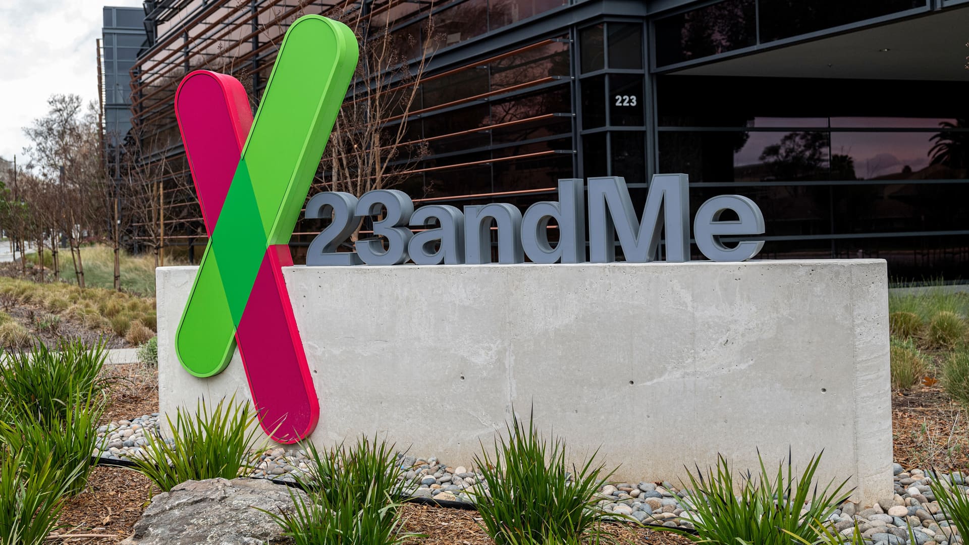 23andMe has filed for bankruptcy. How to delete your genetic data 23andMe has filed for bankruptcy. How to delete your genetic data
